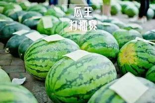 吃瓜网61,揭秘娱乐圈背后的那些事儿