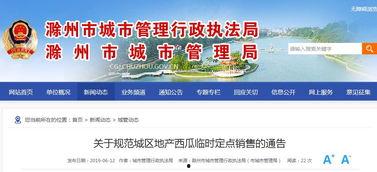 吃瓜网地址发布,带你走进网络八卦的神秘世界